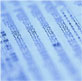 Global Accounting Firm